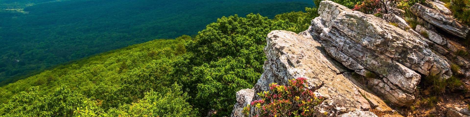 George Washington National Forest