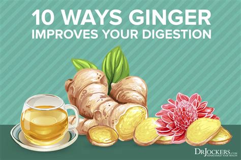 Ginger 10 Ways This Herb Improves Your Digestion