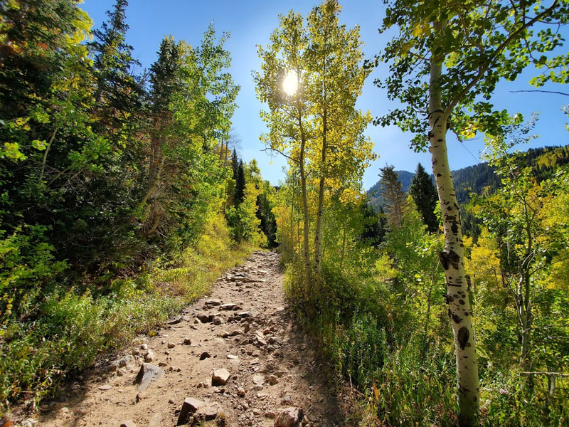 Gloria Falls Trail