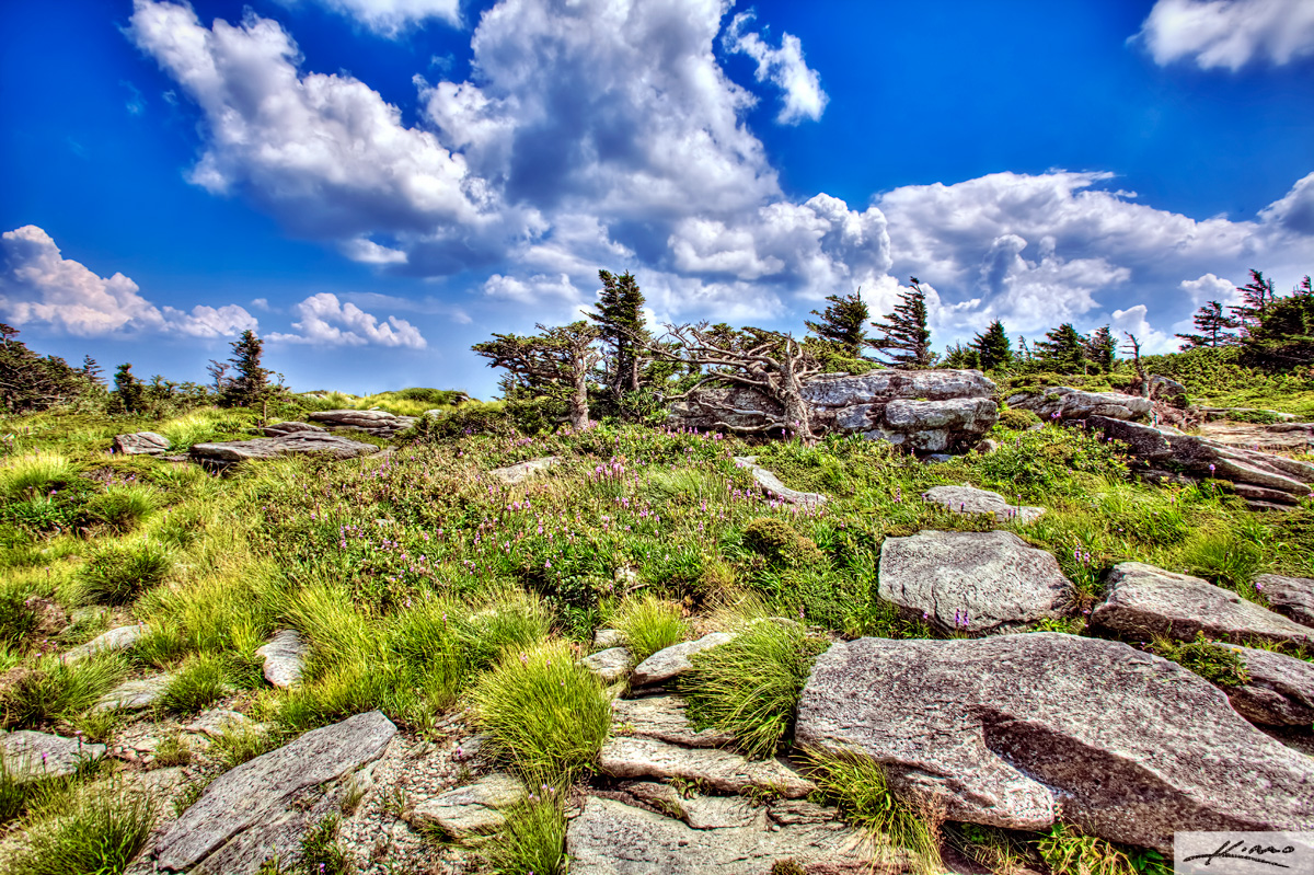 Grandfather Mountain In Linville North Carolina Expedia