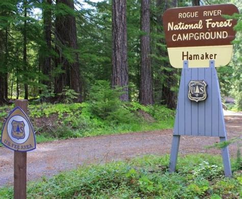 Hamaker Campground Rogue River National Forest Updated August 2024