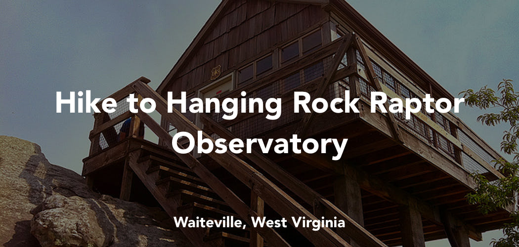 Hanging Rock Raptor Observatory