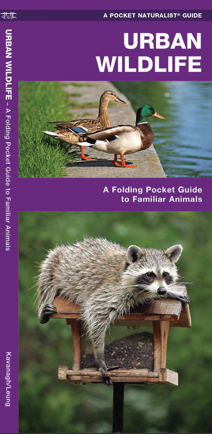 Hawaii Wildlife Pocket Guide