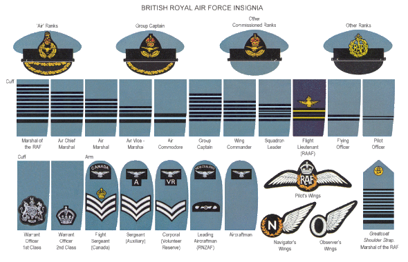 Her Majesty S Services A Brief Guide To British Armed Forces Ranks