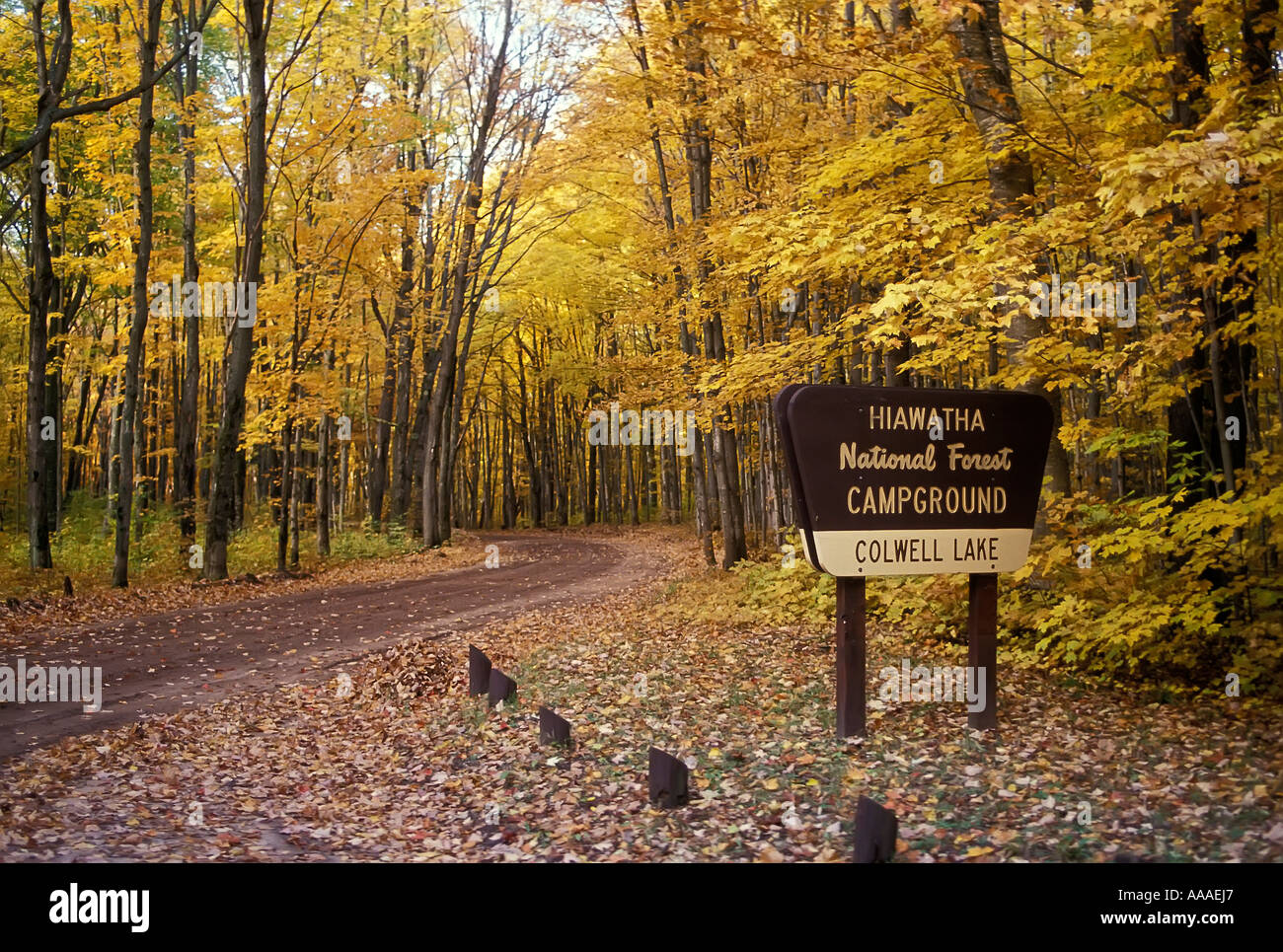 Hiawatha National Forest And Campground In Michigan Upper Peninsula