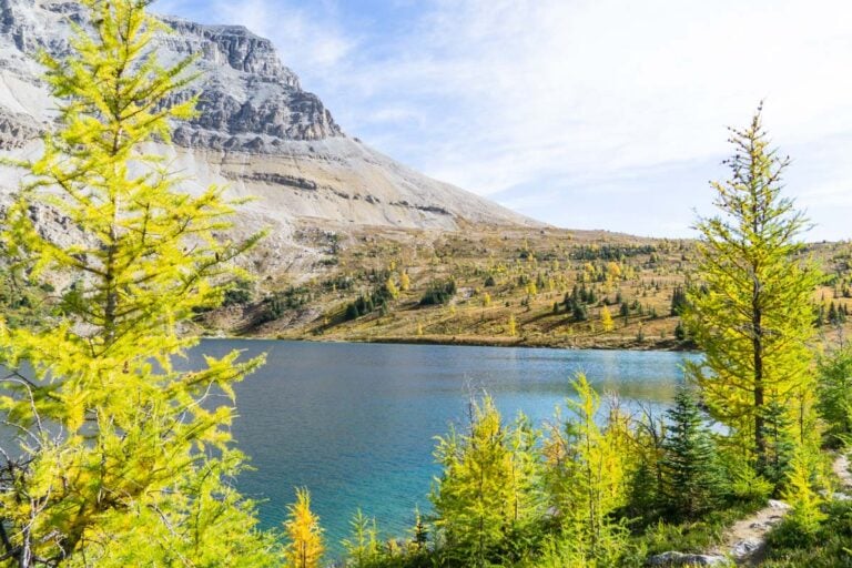 Hidden Lake Trail Banff National Park Travel Banff Canada