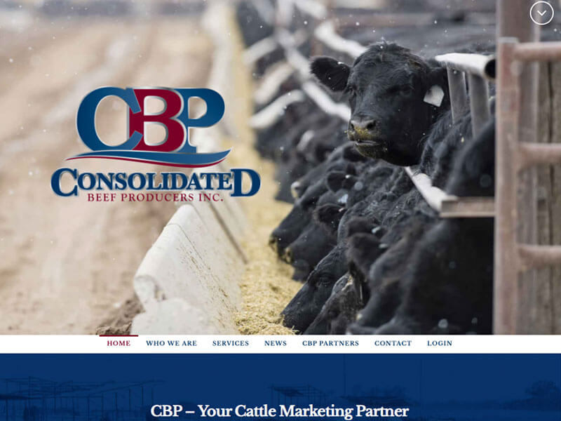 Home Consolidated Beef Producers Innovative Cattle Producers