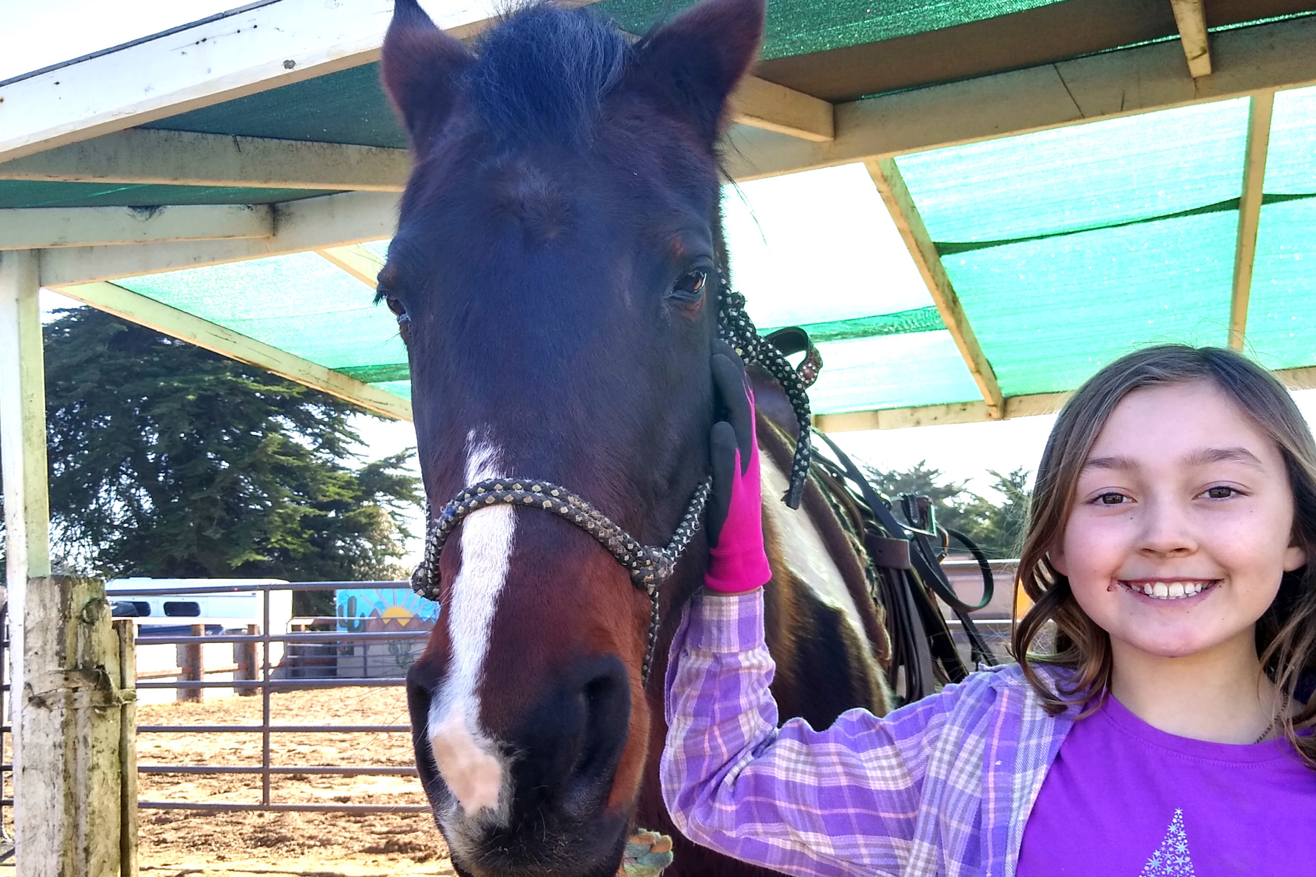 Horseback Riding Summer Camp Stone Mountain Adventures Teen Summer