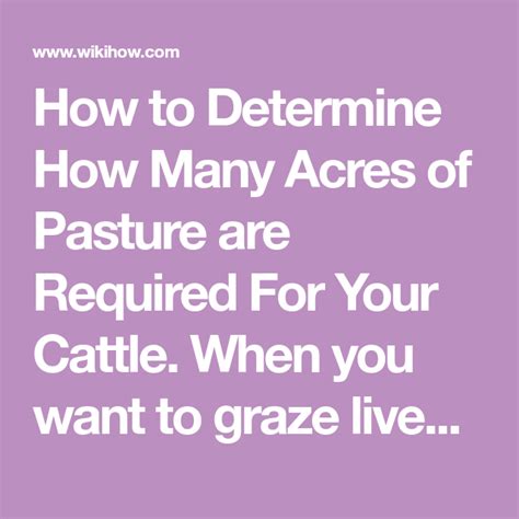 How To Determine How Many Acres Of Pasture Are Required For Your Cattle