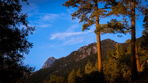 Idyllwild Pine Cove Camping