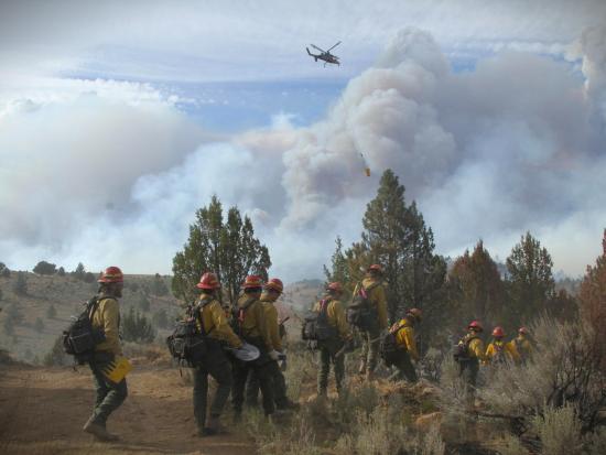 Investing In The Future The U S Fish And Wildlife Service S Wildland