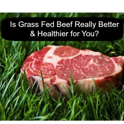 Is Grass Fed Beef Really Better For You Ground Beef Recipes Healthy