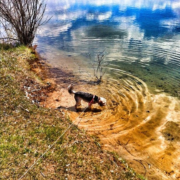 Island Lake State Recreation