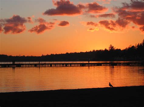 Juanita Beach, Washington: A Local's Guide To A Relaxing Day Out