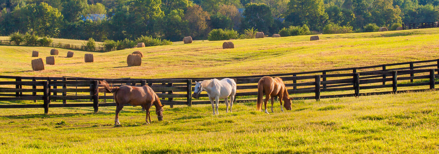 Land For Sale Kentucky