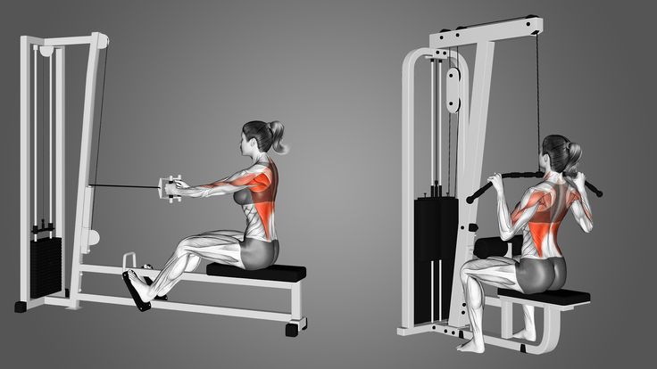 Lat Pulldown Vs Pull Up Physical Fitness Workout Program