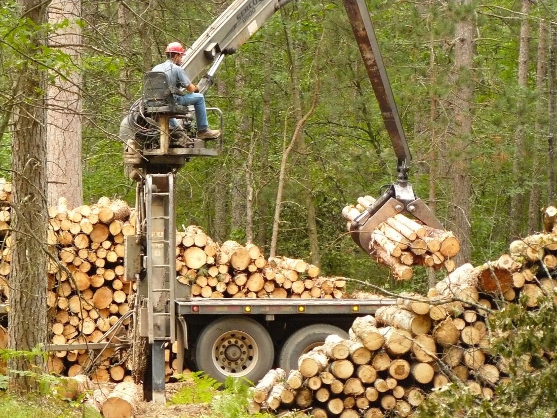 Logging Getting The Wood Out News Sports Jobs Daily Press