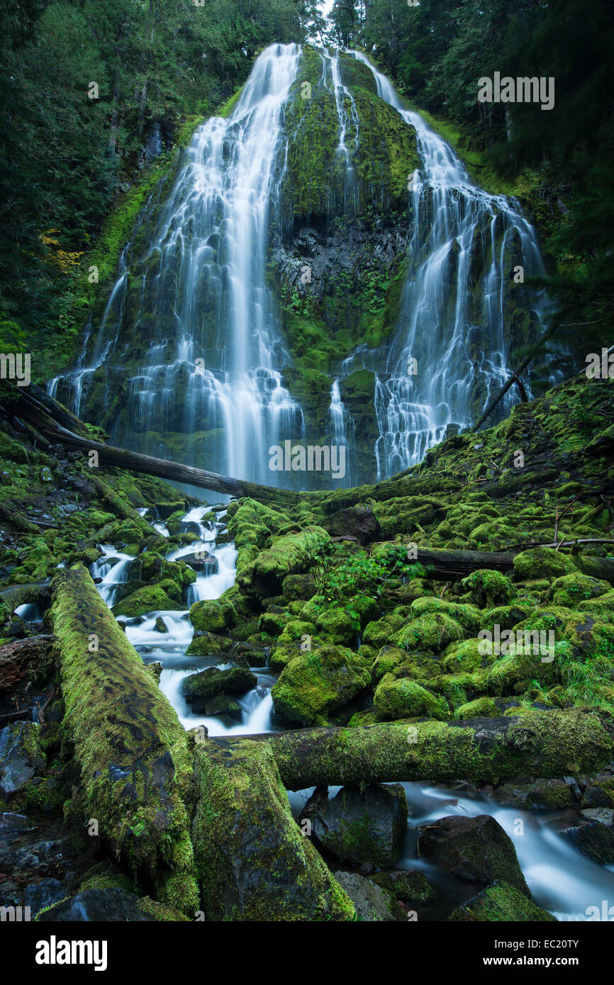 Mckenzie River Eugene