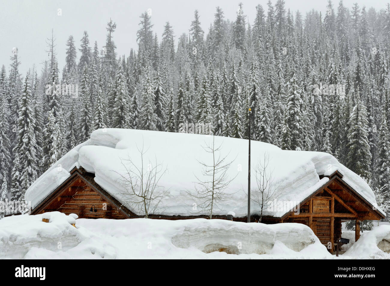 Lolo Pass Montana: Uncover The Hidden Gem For An Unforgettable Road ...