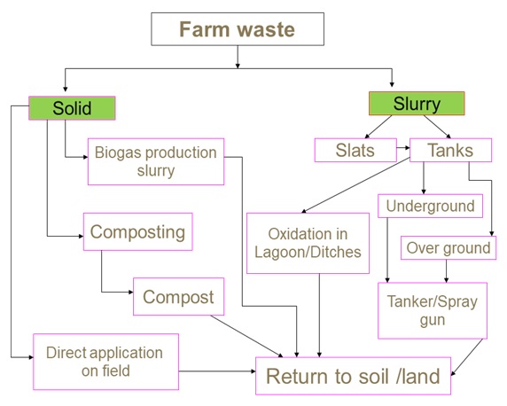 Methods In The Dairy Industry