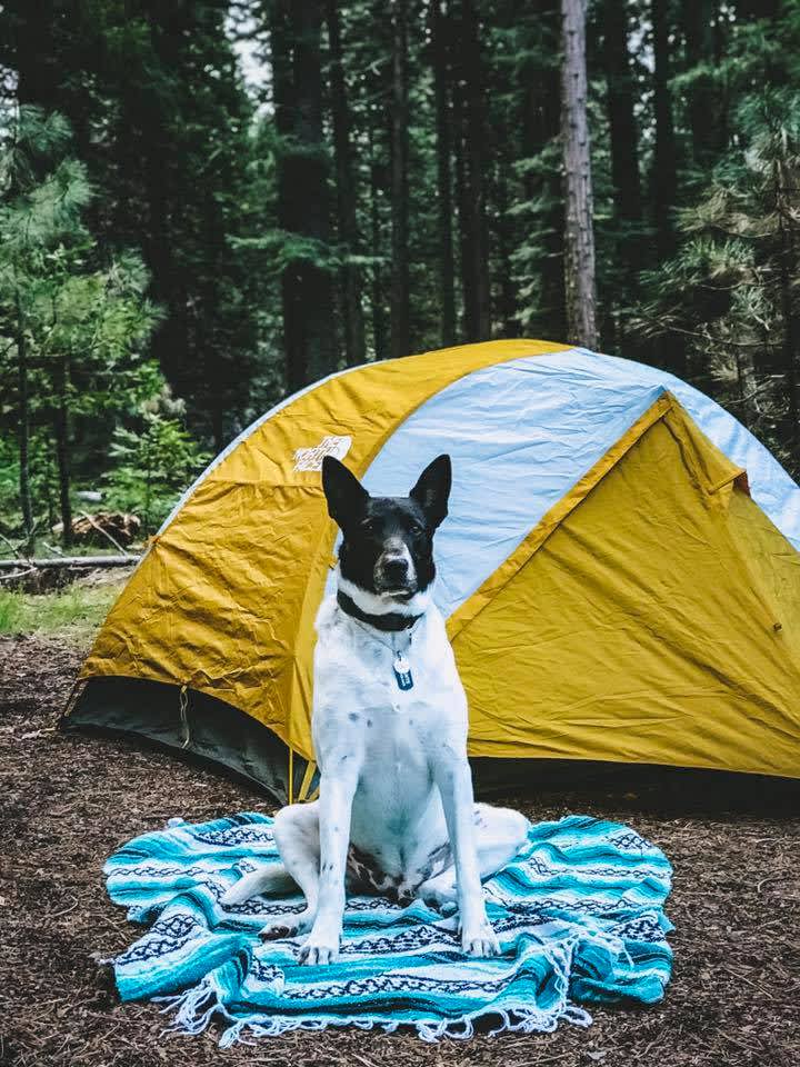 Mill Creek Resort Hipcamp In Mineral California