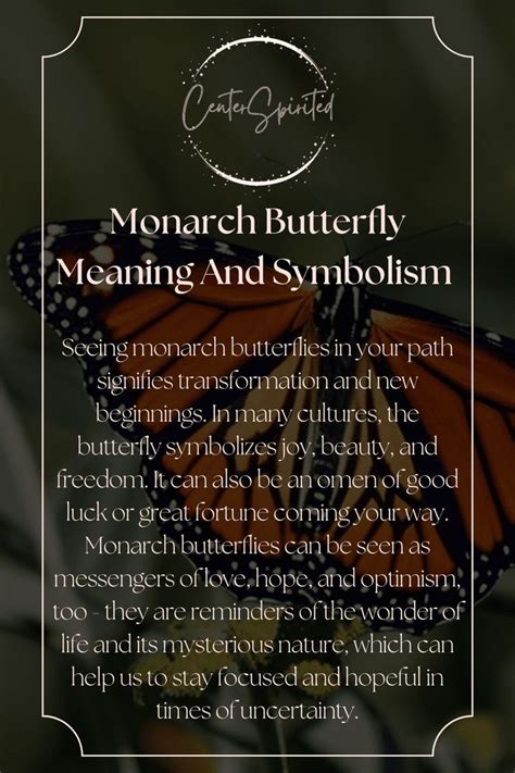 Monarch Butterfly Symbolism And Meaning Your Spirit Animal