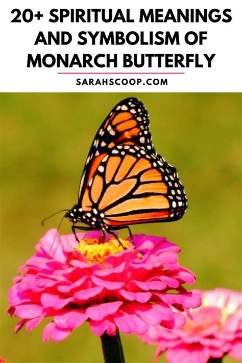 Monarch Butterfly Symbolism