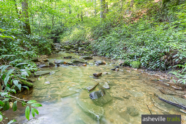 Moore Cove Falls Pisgah Forest 2020 All You Need To Know Before You