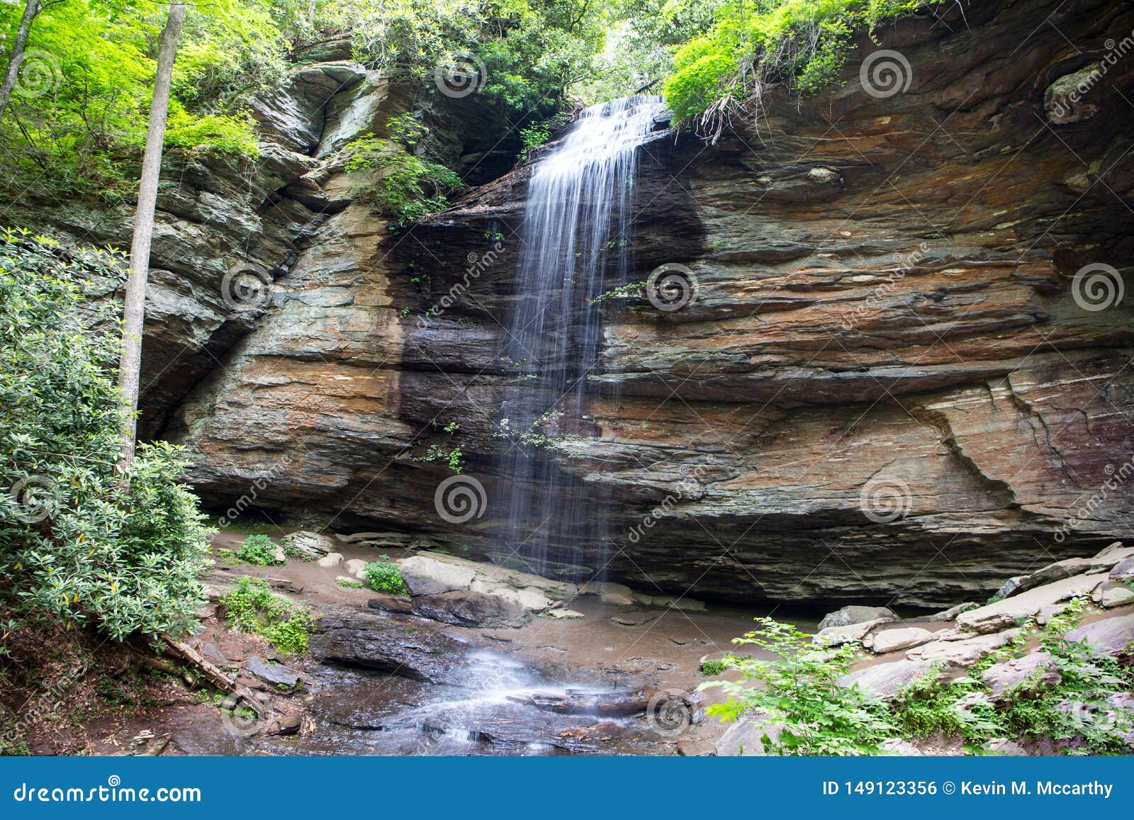 Moore Cove Falls Pisgah National Forest North Carolina World Of