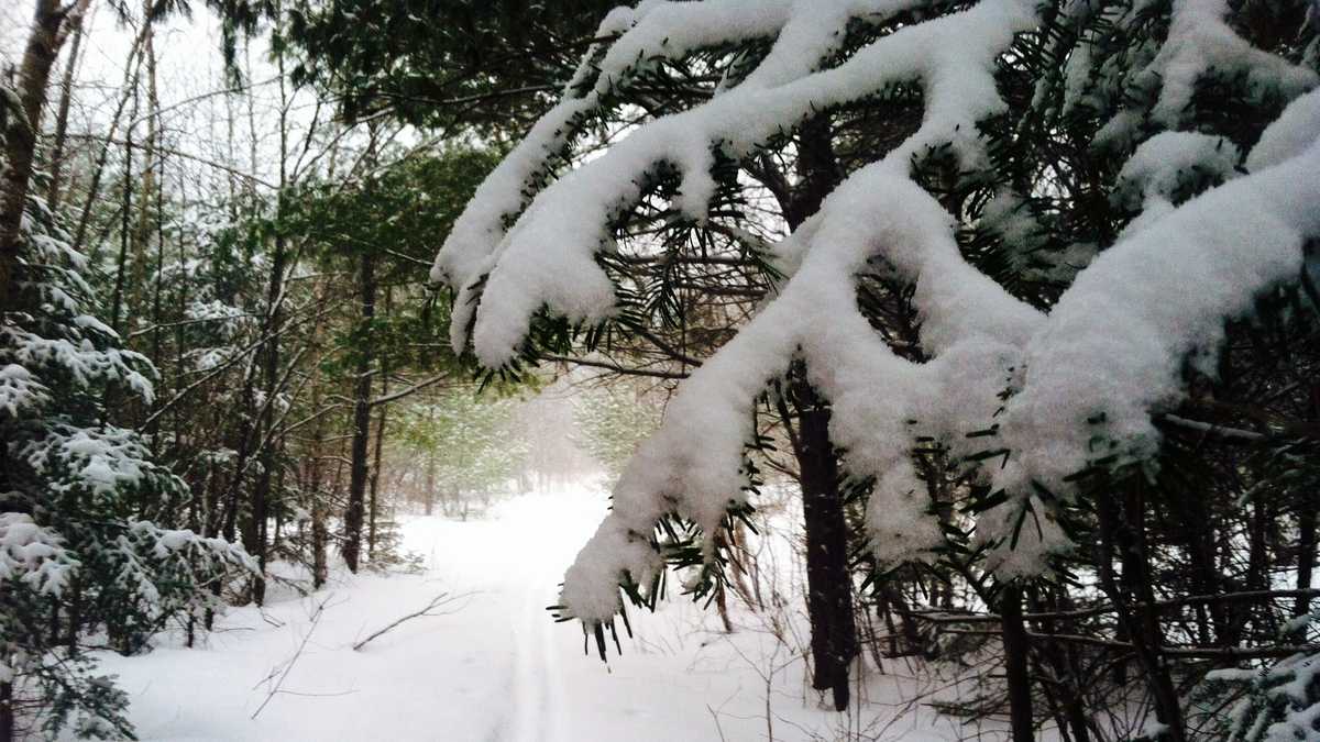 More Colorado Snowfall Totals Are In Here S How Much Fell Across