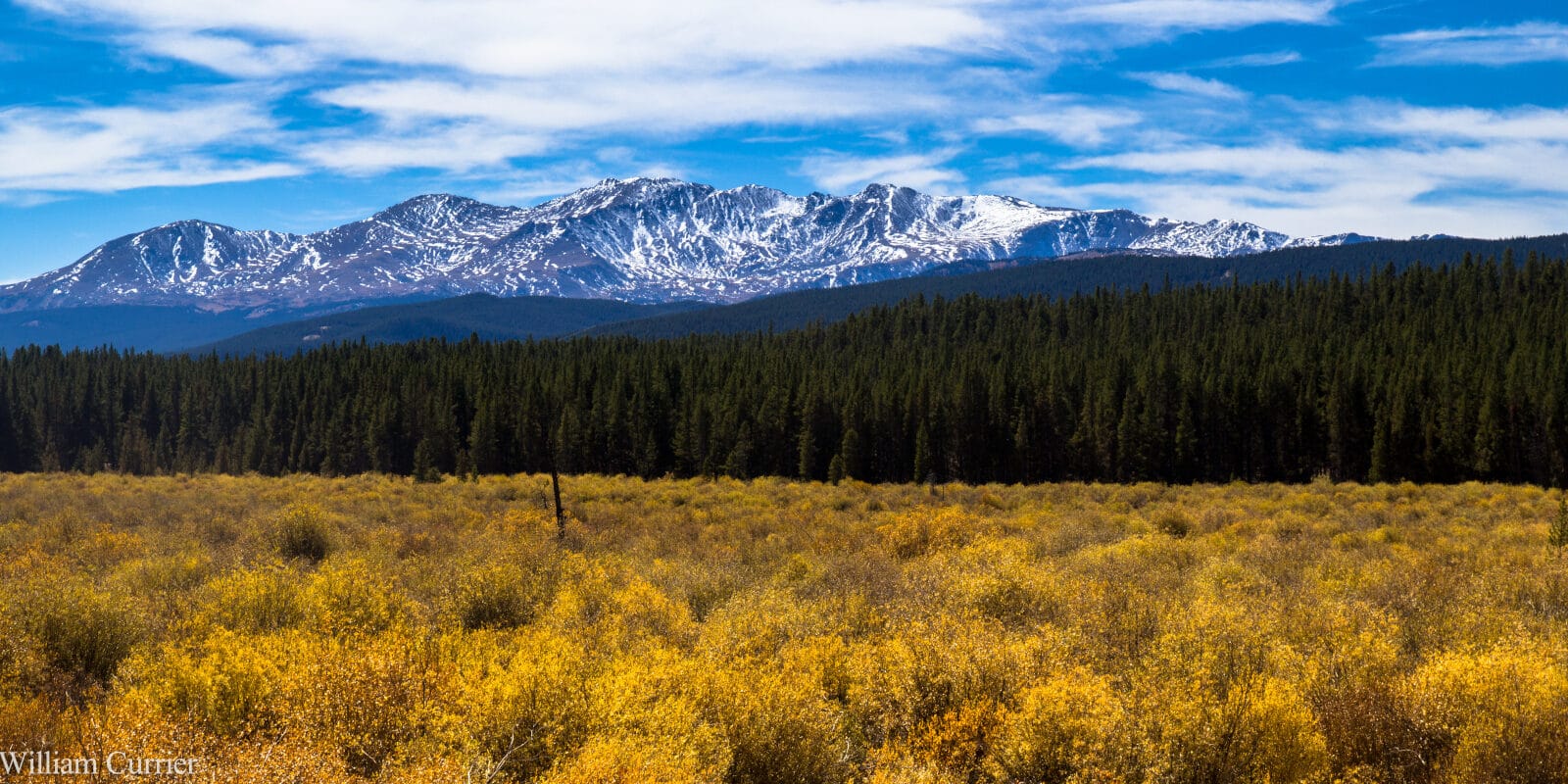 Mount Massive Colorado