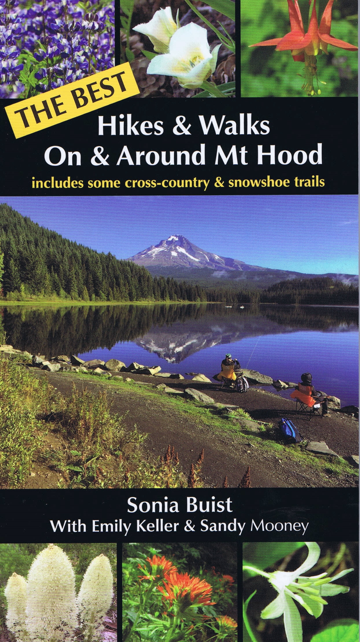 Mt Hood Hikes: Discover The Best Trails For All Abilities