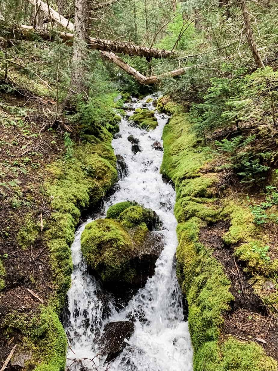 Mt Rainier Camping