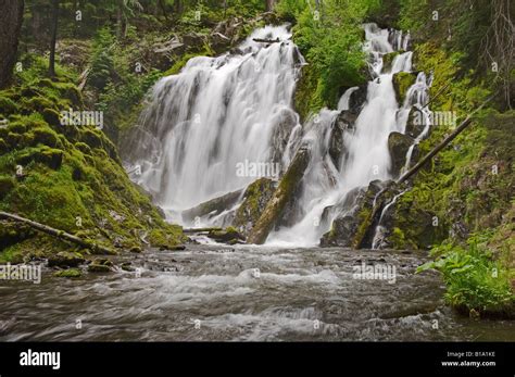 National Creek Falls Rogue River National Forest Oregon Stock Photo