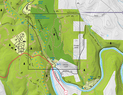 Navigating The Wilderness A Comprehensive Guide To The Cooks Forest