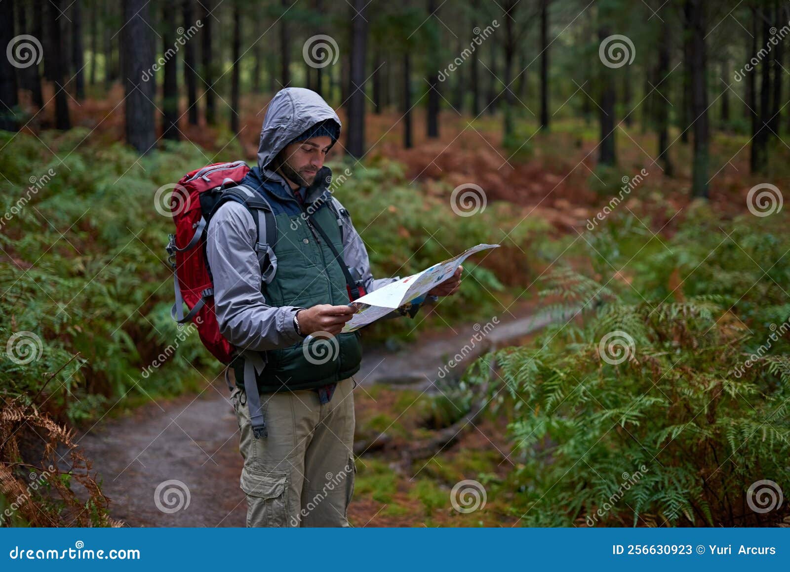 Navigating The Wilderness A Man In A Pine Forest With A Map Figuring