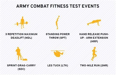 Navy Fitness Standards: A Comprehensive Guide To Peak Performance