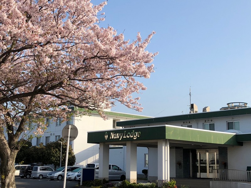 Navy Lodge Sasebo: Your Home Away From Home In Japan