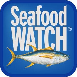 Navy Seafood: A Guide To Sustainable And Delicious Dining