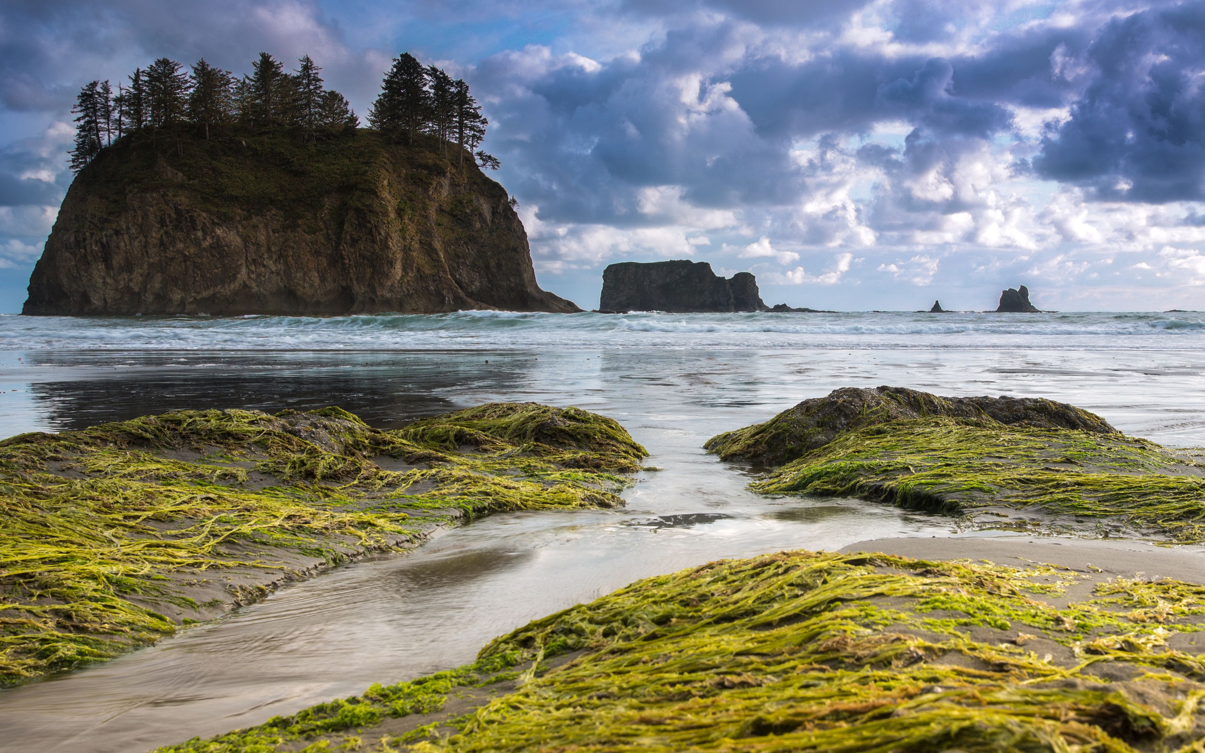 Olympic National Park Images