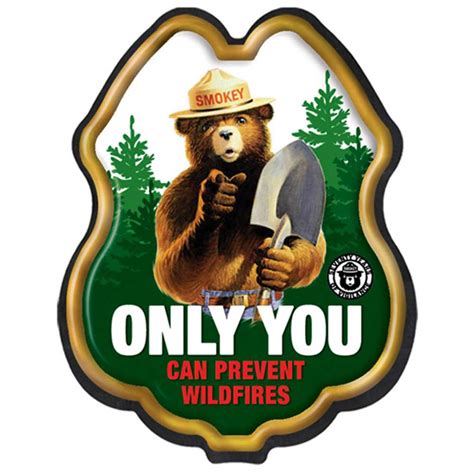 Only You Can Prevent Wildfires