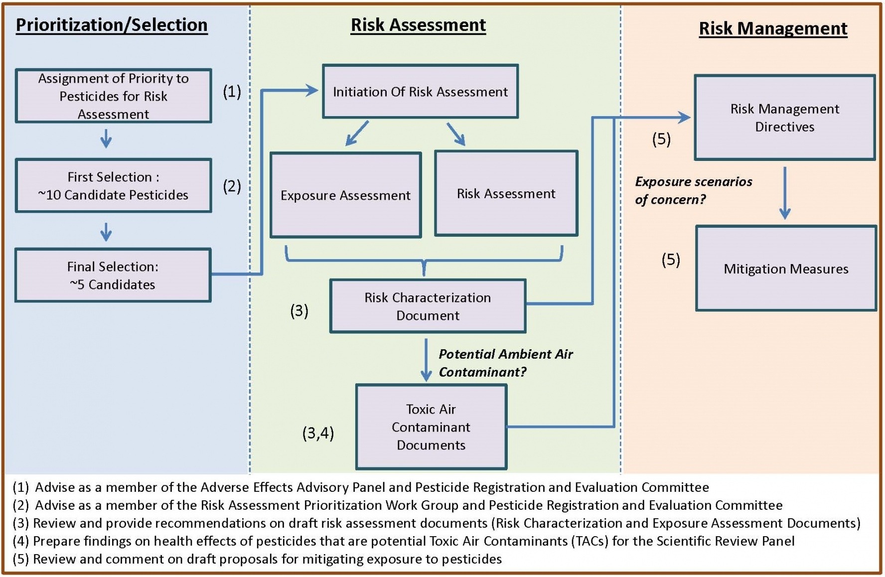 Pest Risk Assessment: A Comprehensive Guide To Mitigating Threats