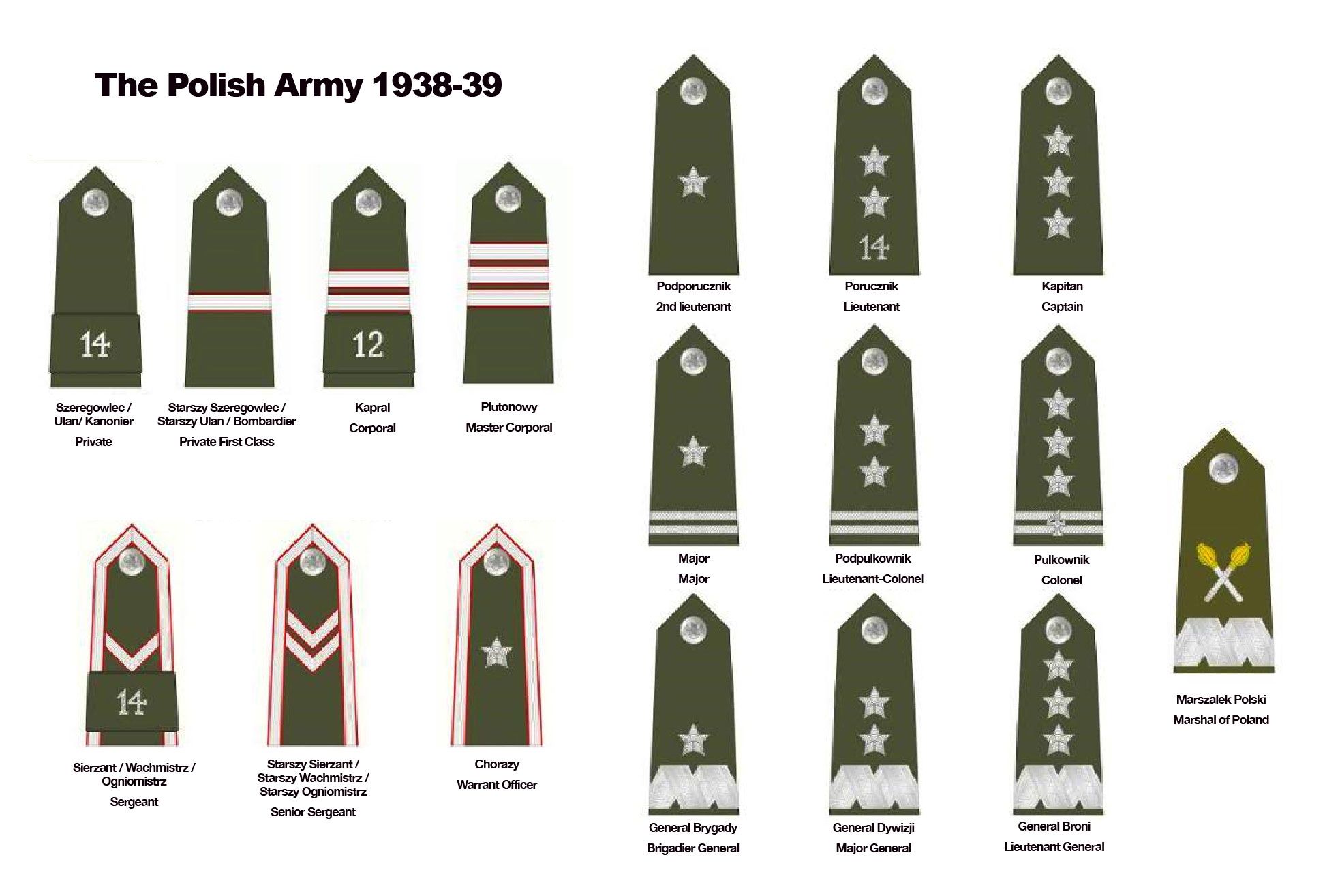 Polish Army Ranks - Savannah Tech Hub