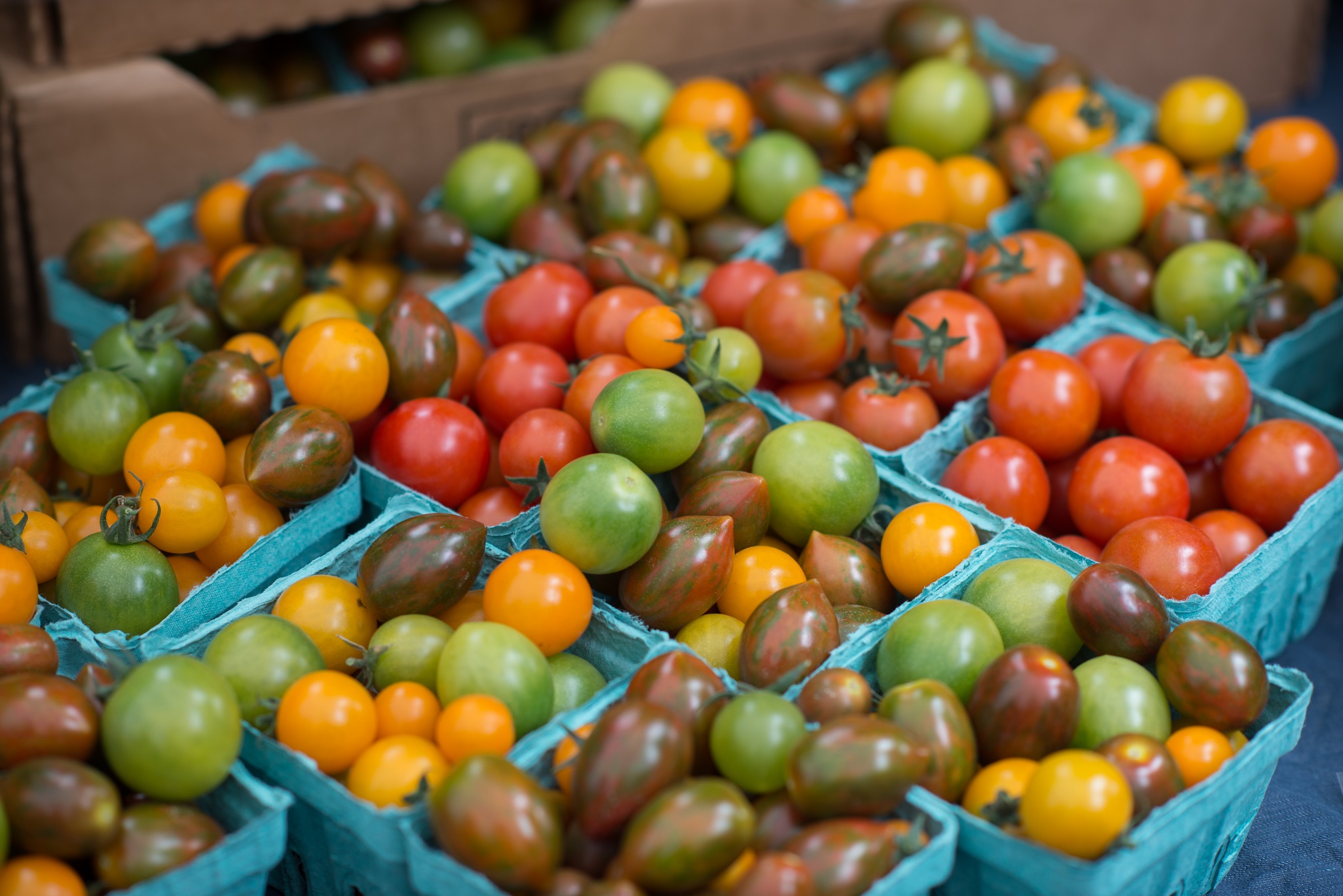 Portland Farmers Market Faqs Portland Farmers Market