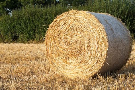 Products Pricing Delivery Hall Farm Hay