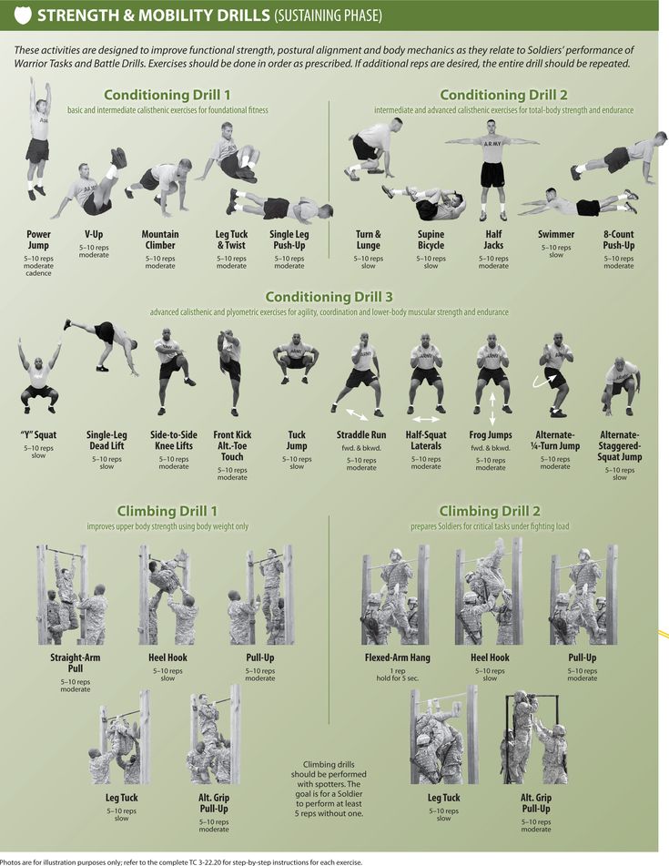 Prt Army Cheat Sheet Top Defense Systems