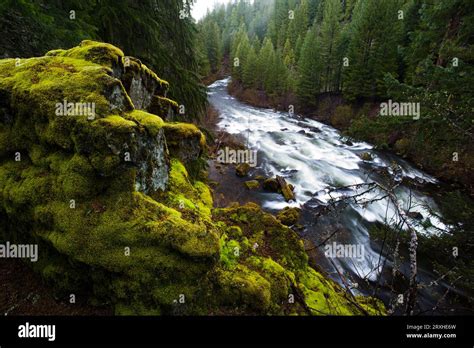 Rogue River National Forest Oregon