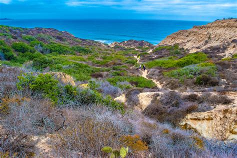 San Diego Hikes: Discover The City's Best Trails And Scenery