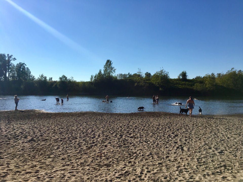 Sandy River Delta Park: Explore Nature's Paradise, Just Minutes Away!