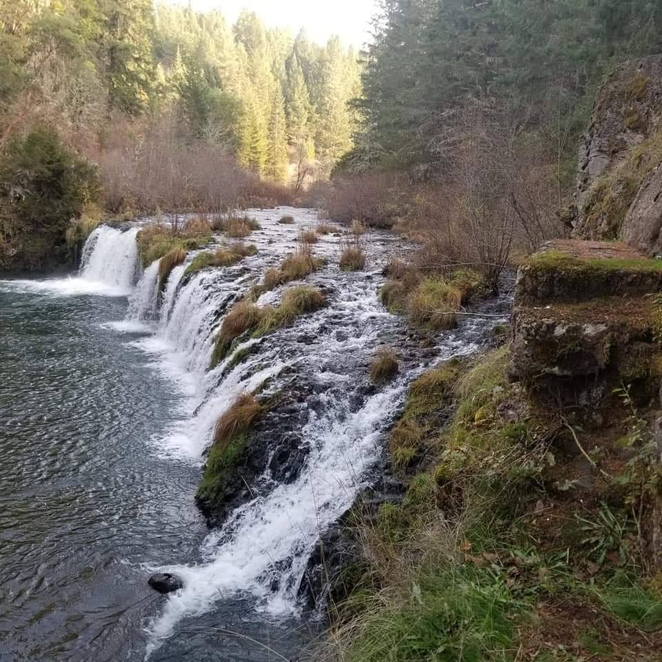 Saving Butte Falls Country Traveler Online